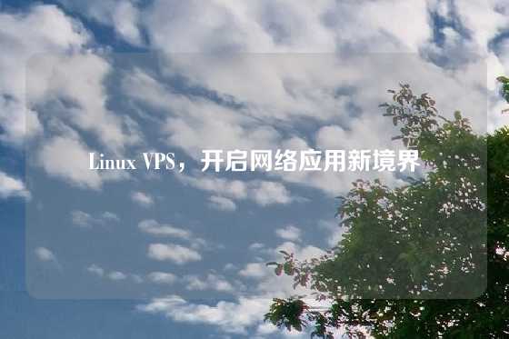 Linux VPS，开启网络应用新境界