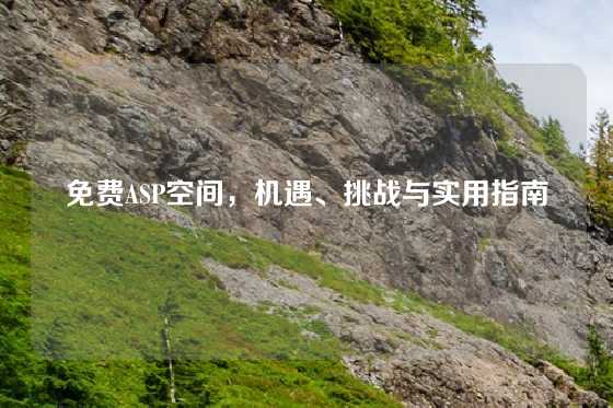 免费ASP空间，机遇、挑战与实用指南