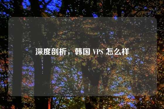 深度剖析，韩国 VPS 怎么样