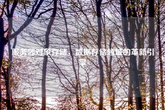 服务器对象存储，数据存储领域的革新引擎