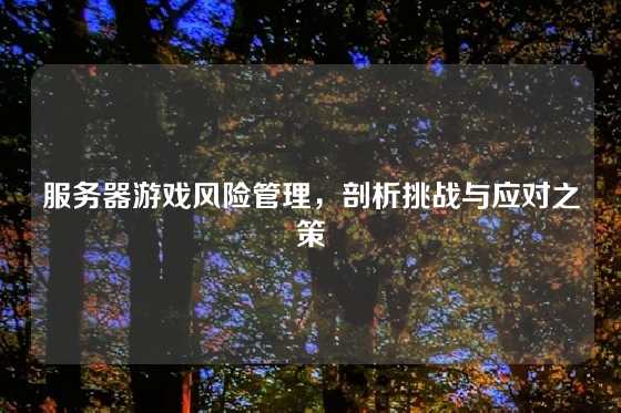 服务器游戏风险管理，剖析挑战与应对之策