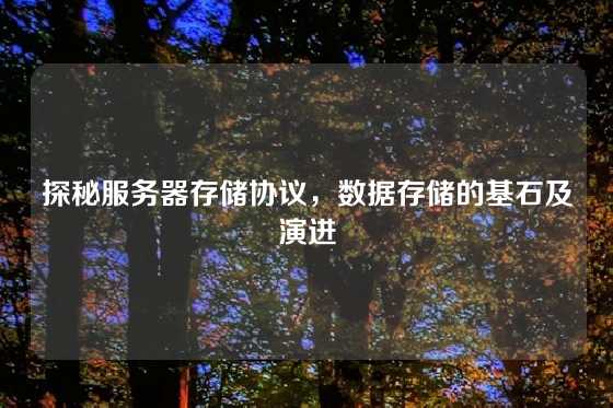 探秘服务器存储协议，数据存储的基石及演进