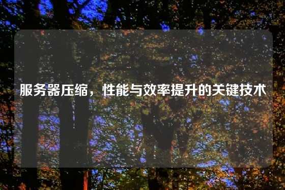 服务器压缩，性能与效率提升的关键技术