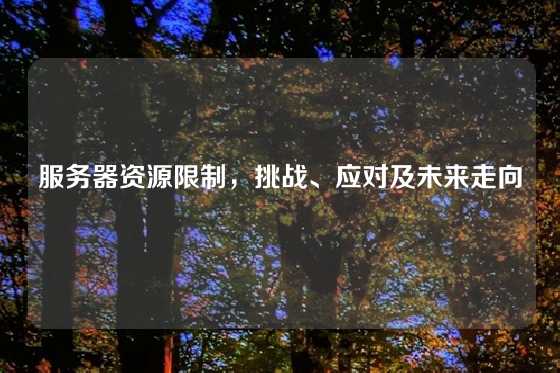 服务器资源限制，挑战、应对及未来走向
