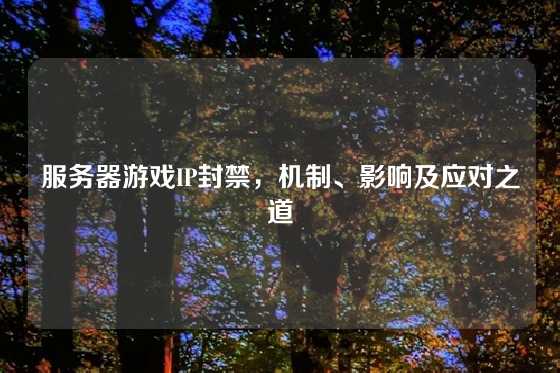 服务器游戏IP封禁，机制、影响及应对之道
