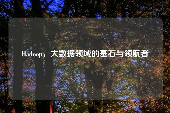 Hadoop，大数据领域的基石与领航者