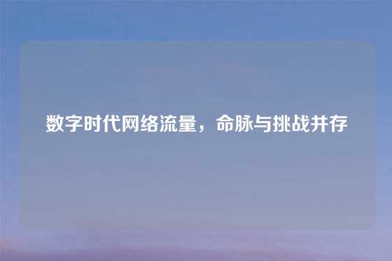 数字时代网络流量，命脉与挑战并存