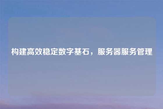 构建高效稳定数字基石，服务器服务管理