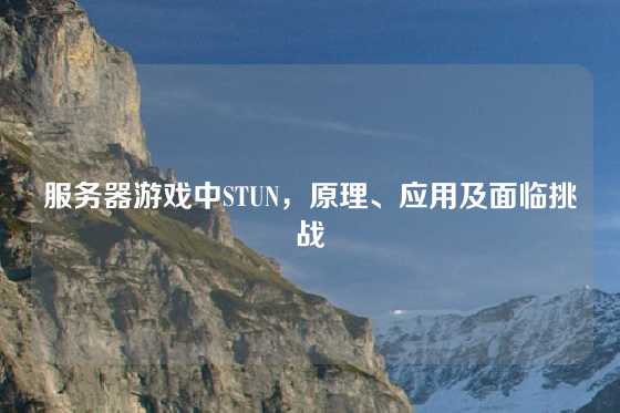 服务器游戏中STUN，原理、应用及面临挑战