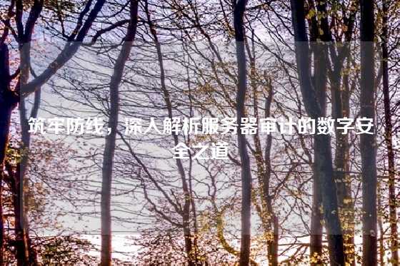 筑牢防线，深入解析服务器审计的数字安全之道