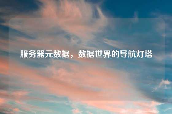 服务器元数据，数据世界的导航灯塔