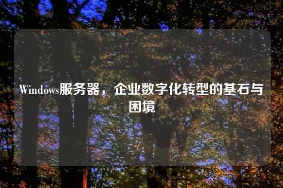 Windows服务器，企业数字化转型的基石与困境