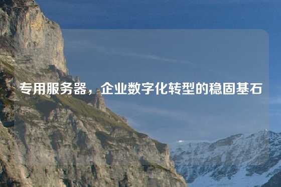 专用服务器，企业数字化转型的稳固基石