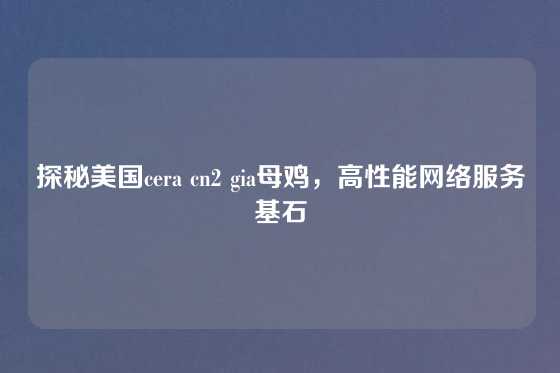 探秘美国cera cn2 gia母鸡,高性能网络服务基石