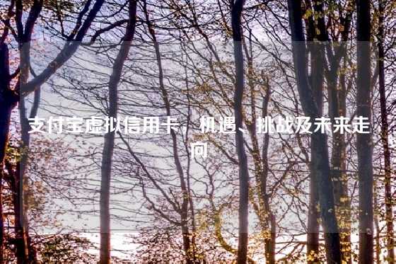 支付宝虚拟信用卡，机遇、挑战及未来走向