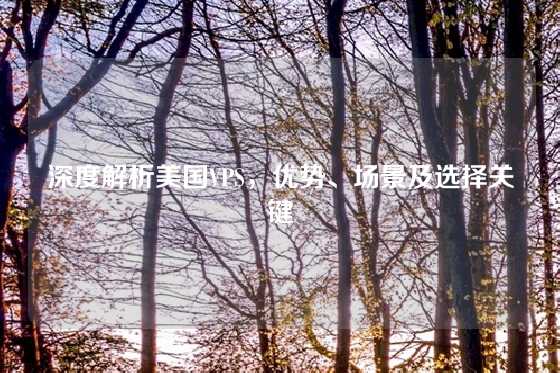 深度解析美国VPS，优势、场景及选择关键