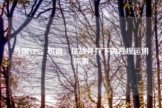 外国VPS，机遇、挑战并存下的合规运用探索