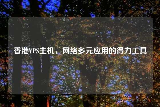 香港VPS主机，网络多元应用的得力工具