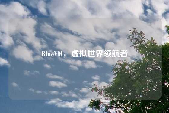 BlueVM，虚拟世界领航者