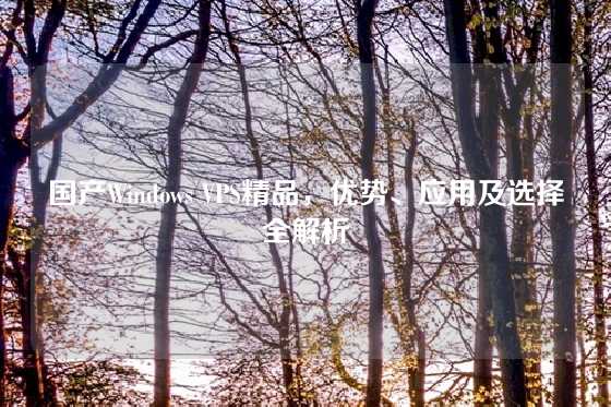 国产Windows VPS精品，优势、应用及选择全解析
