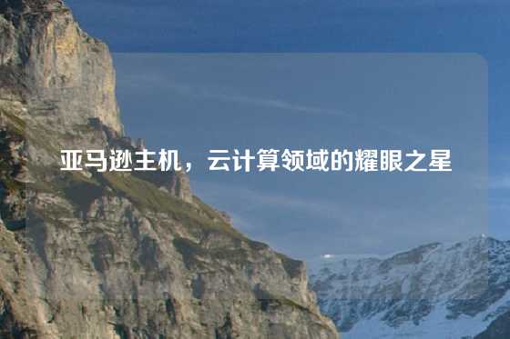 亚马逊主机，云计算领域的耀眼之星