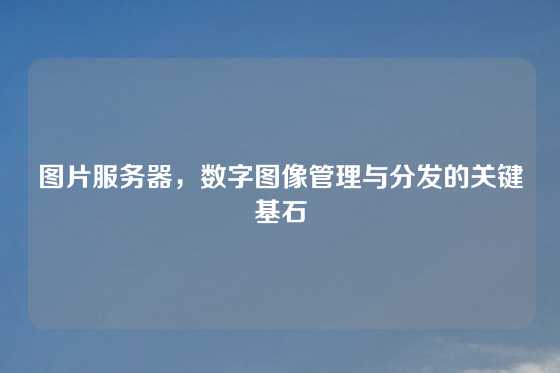图片服务器，数字图像管理与分发的关键基石