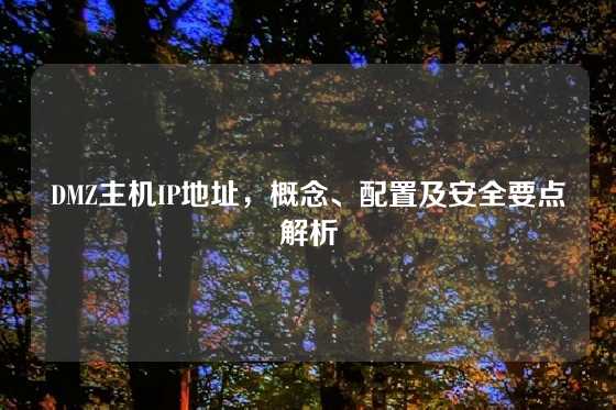 DMZ主机IP地址，概念、配置及安全要点解析