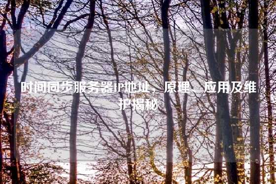 时间同步服务器IP地址，原理、应用及维护揭秘