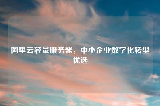 阿里云轻量服务器,中小企业数字化转型优选