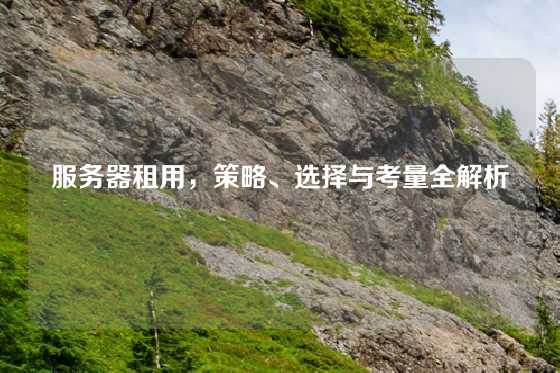 服务器租用，策略、选择与考量全解析