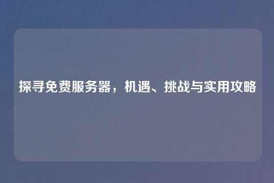 探寻免费服务器，机遇、挑战与实用攻略