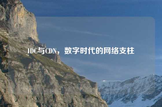 IDC与CDN，数字时代的网络支柱