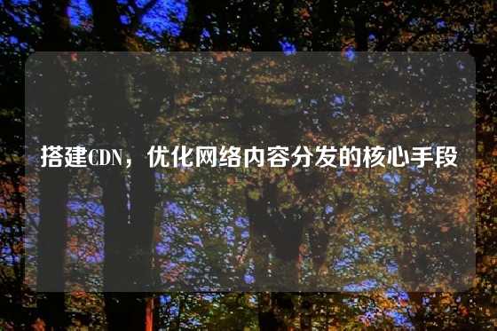 搭建CDN，优化网络内容分发的核心手段
