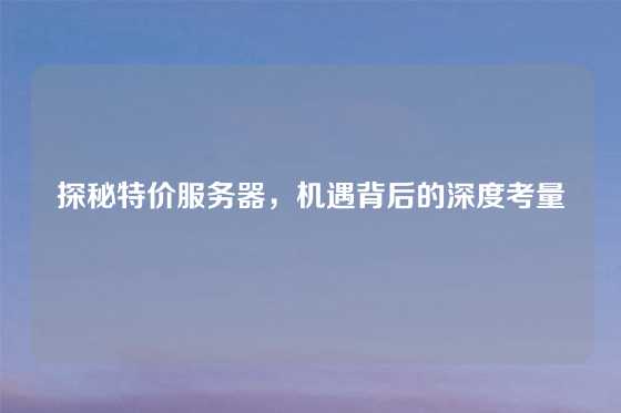 探秘特价服务器，机遇背后的深度考量