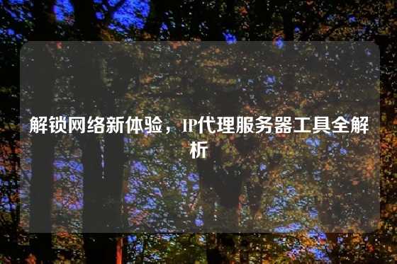 解锁网络新体验,IP代理服务器工具全解析