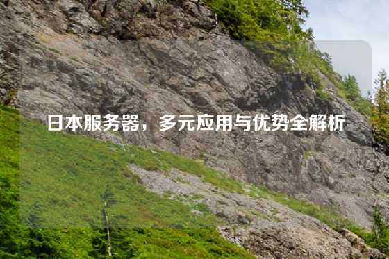 日本服务器，多元应用与优势全解析
