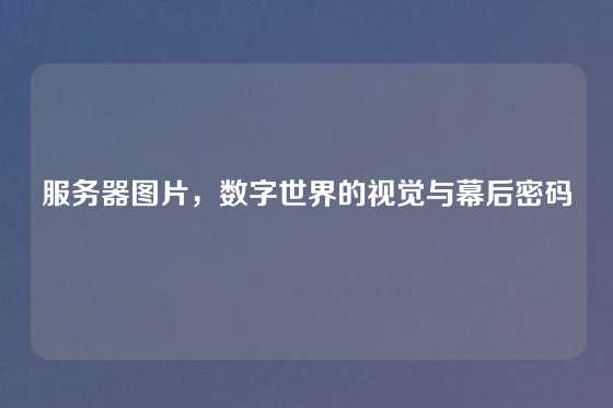 服务器图片，数字世界的视觉与幕后密码