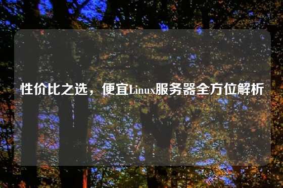 性价比之选，便宜Linux服务器全方位解析