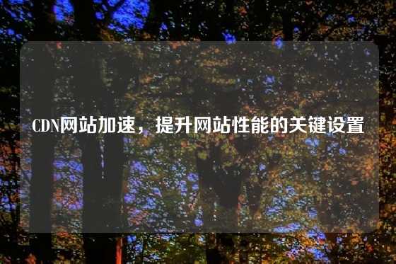 CDN网站加速，提升网站性能的关键设置