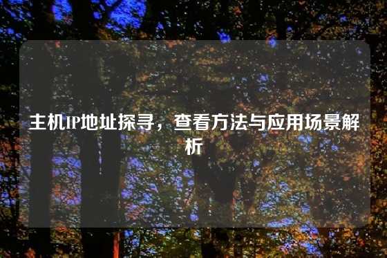 主机IP地址探寻，查看方法与应用场景解析