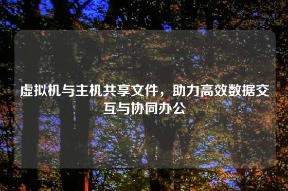 虚拟机与主机共享文件，助力高效数据交互与协同办公
