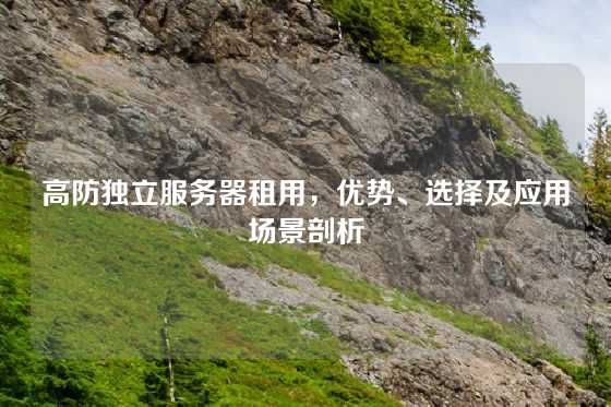 高防独立服务器租用，优势、选择及应用场景剖析