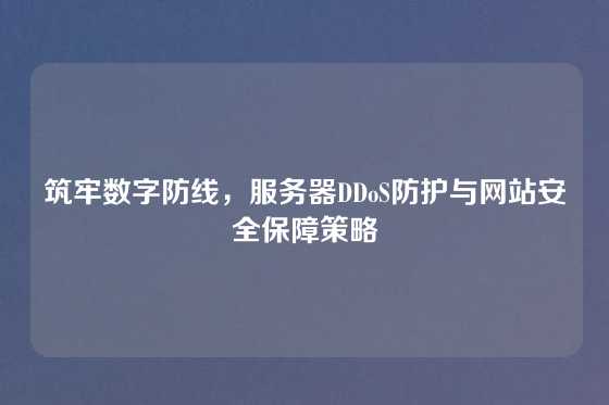 筑牢数字防线，服务器DDoS防护与网站安全保障策略