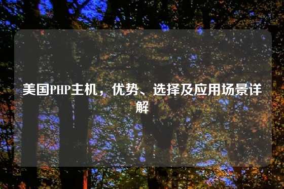 美国PHP主机，优势、选择及应用场景详解