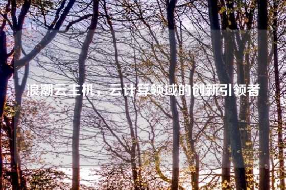 浪潮云主机，云计算领域的创新引领者