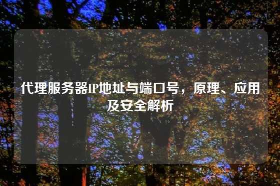 代理服务器IP地址与端口号，原理、应用及安全解析