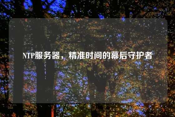 NTP服务器，精准时间的幕后守护者