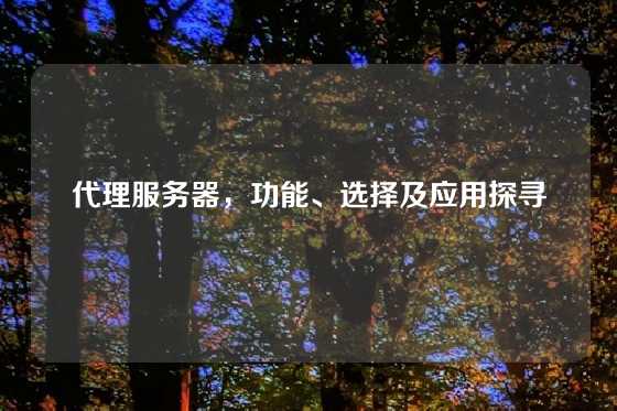 代理服务器，功能、选择及应用探寻