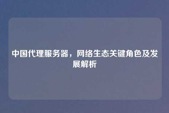 中国代理服务器，网络生态关键角色及发展解析