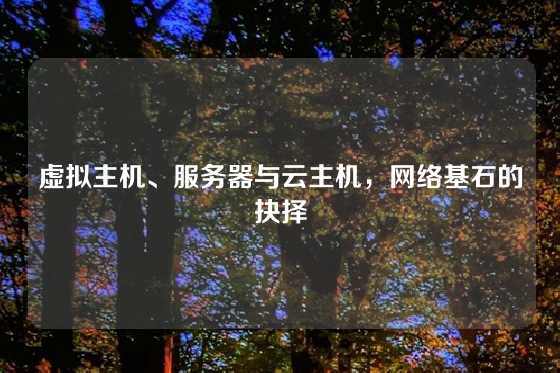 虚拟主机、服务器与云主机，网络基石的抉择